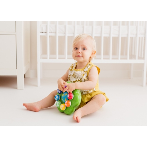 Symfonia Grzybków DD62371